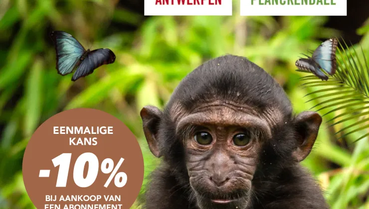 KAVA-korting ZOO-abonnement